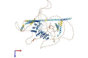 AlphaFold protein structure predicition of Human Recombinant PPP1R12B Protein, UniprotID O60237