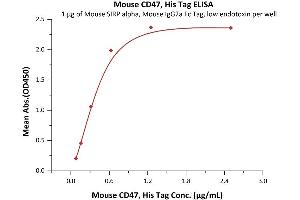 Immobilized Mouse SIRP alpha, Mouse IgG2a Fc Tag, low endotoxin (ABIN5955018,ABIN6253632) at 10 μg/mL (100 μL/well) can bind Mouse CD47, His Tag (ABIN5954913,ABIN6253634) with a linear range of 0.