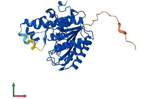 AlphaFold protein structure predicition of Mouse Recombinant Hdac11 Protein, UniprotID Q91WA3
