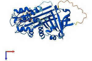 AlphaFold protein structure predicition of Human Recombinant SERPINB3 Protein, UniprotID P29508