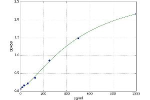A typical standard curve