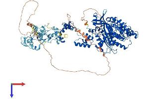 AlphaFold protein structure predicition of Mouse Recombinant Rag1 Protein, UniprotID P15919