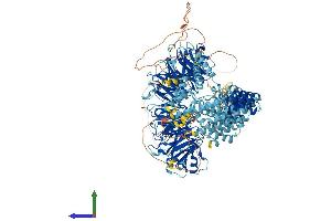 AlphaFold protein structure predicition of Mouse Recombinant Gemin5 Protein, UniprotID Q8BX17
