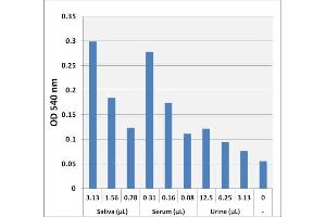 Lactate detection in human saliva, serum, or urine using the Lactate Assay Kit (Colorimetric). (Lactate Assay Kit (Colorimetric))