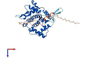 AlphaFold protein structure predicition of Mouse Recombinant Golph3 Protein, UniprotID Q9CRA5