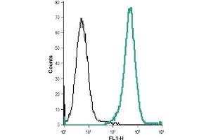 Cell surface detection of CysLTR2 in live intact acute monocytic leukemia (THP-1) cells: (black line) Control cells + goat anti-rabbit-AlexaFluor-488.