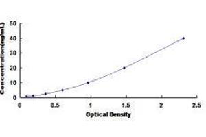 Typical standard curve (PCOLCE Kit ELISA)