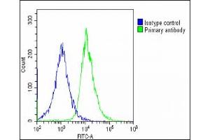 Overlay histogram showing HepG2 cells stained with (ABIN6244194 and ABIN6578872)(green line).