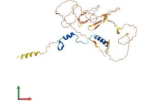 AlphaFold protein structure predicition of Human Recombinant NFYA Protein, UniprotID P23511