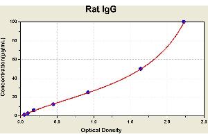 Diagramm of the ELISA kit to detect Rat 1 gGwith the optical density on the x-axis and the concentration on the y-axis. (IgG Kit ELISA)