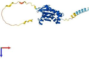 AlphaFold protein structure predicition of Human Recombinant COPZ2 Protein, UniprotID Q9P299