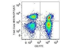 Flow Cytometry (FACS) image for anti-T-Bet antibody (PerCP-Cy5.5) (ABIN2660475)