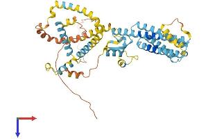 Perilipin 5 (PLIN5) (AA 1-463) protein (His tag)