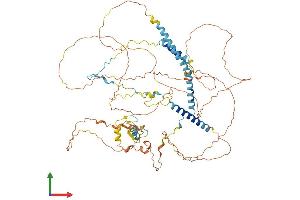 AlphaFold protein structure predicition of Human Recombinant RNF169 Protein, UniprotID Q8NCN4