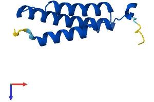 AlphaFold protein structure predicition of Mouse Recombinant Lyrm4 Protein, UniprotID Q8K215