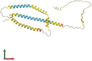AlphaFold protein structure predicition of Mouse Recombinant Spata9 Protein, UniprotID Q9D9R3