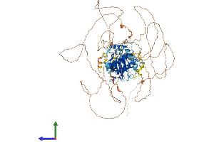 AlphaFold protein structure predicition of Human Recombinant MASTL Protein, UniprotID Q96GX5