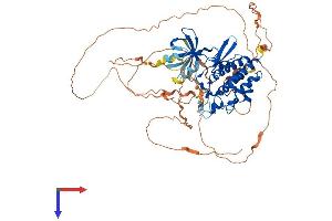 AlphaFold protein structure predicition of Mouse Recombinant Tesk1 Protein, UniprotID O70146