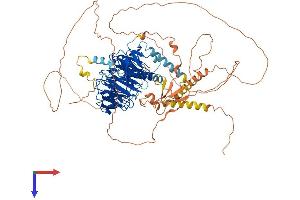 AlphaFold protein structure predicition of Mouse Recombinant Dcaf6 Protein, UniprotID Q9DC22