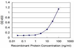 Detection limit for recombinant GST tagged MEOX2 is approximately 3ng/ml as a capture antibody. (MEOX2 anticorps  (AA 1-303))