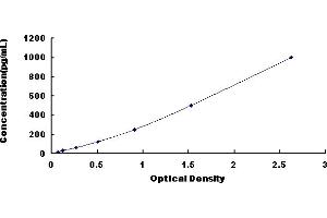 Fibroblast Growth Factor 18 (FGF18) ELISA Kit