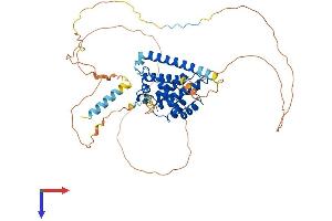 AlphaFold protein structure predicition of Human Recombinant BCL2L13 Protein, UniprotID Q9BXK5