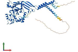AlphaFold protein structure predicition of Mouse Recombinant Asic2 Protein, UniprotID Q925H0