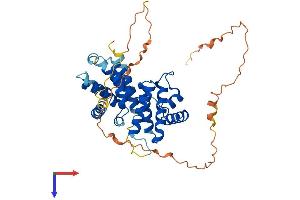 AlphaFold protein structure predicition of Mouse Recombinant Ccni Protein, UniprotID Q9Z2V9