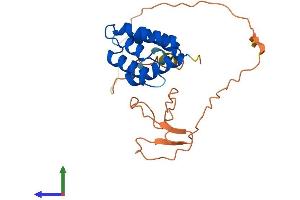 AlphaFold protein structure predicition of Human Recombinant CARD19 Protein, UniprotID Q96LW7