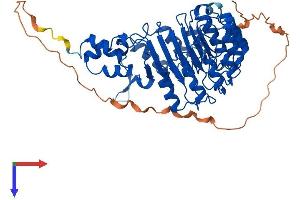 AlphaFold protein structure predicition of Mouse Recombinant Fbxl16 Protein, UniprotID A2RT62