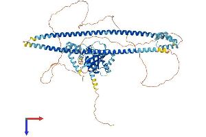 AlphaFold protein structure predicition of Human Recombinant RASEF Protein, UniprotID Q8IZ41