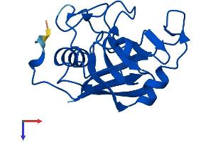 AlphaFold protein structure predicition of Mouse Recombinant Ppil1 Protein, UniprotID Q9D0W5