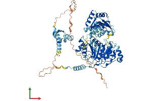 AlphaFold protein structure predicition of Human Recombinant DDX43 Protein, UniprotID Q9NXZ2