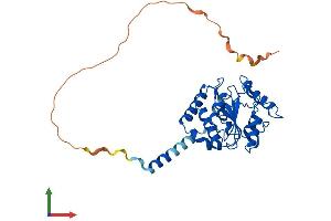 AlphaFold protein structure predicition of Human Recombinant UNG Protein, UniprotID P13051