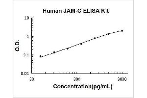 Junctional Adhesion Molecule 3 (JAM3) ELISA Kit