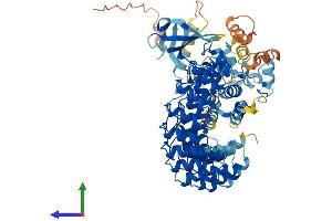 AlphaFold protein structure predicition of Mouse Recombinant Ankk1 Protein, UniprotID Q8BZ25 (ANKK1 Protein (AA 1-745) (His tag))