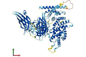 AlphaFold protein structure predicition of Mouse Recombinant Rasal1 Protein, UniprotID Q9Z268