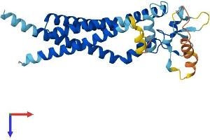 AlphaFold protein structure predicition of Human Recombinant CD37 Protein, UniprotID P11049