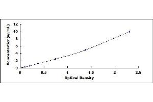 Typical standard curve (ADAMTS7 Kit ELISA)