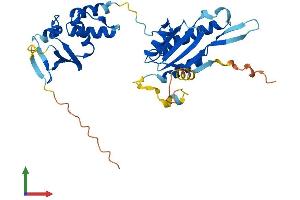 AlphaFold protein structure predicition of Mouse Recombinant Kctd10 Protein, UniprotID Q922M3