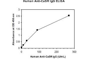 ELISA image for Anti-Calcium Sensing Receptor IgG Antibody (CaSR IgG) ELISA Kit (ABIN1305169) (Anti-CaSR IgG Kit ELISA)