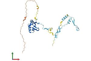 AlphaFold protein structure predicition of Human Recombinant RCAN1 Protein, UniprotID P53805