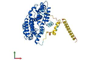 AlphaFold protein structure predicition of Mouse Recombinant Fdft1 Protein, UniprotID P53798