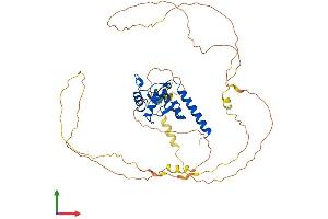 AlphaFold protein structure predicition of Human Recombinant SMAP1 Protein, UniprotID Q8IYB5