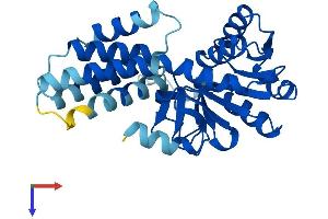 AlphaFold protein structure predicition of Human Recombinant EIF2B1 Protein, UniprotID Q14232