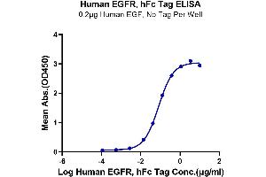 Immobilized Human EGF at 2 μg/mL (100 μL/well) on the plate. (EGFR Protein (AA 25-645) (Fc Tag))