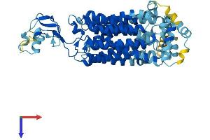 AlphaFold protein structure predicition of Human Recombinant SLC22A11 Protein, UniprotID Q9NSA0