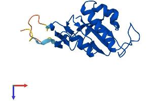 AlphaFold protein structure predicition of Human Recombinant PIN1 Protein, UniprotID Q13526