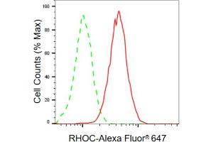 Flow cytometric analysis of RHOC expression in C2C12 cells using RHOC antibody (ABIN7800143), 1:2,000).