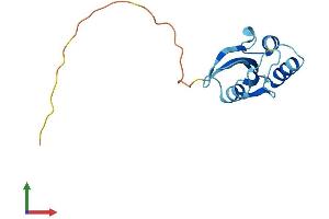 AlphaFold protein structure predicition of Human Recombinant PIN4 Protein, UniprotID Q9Y237